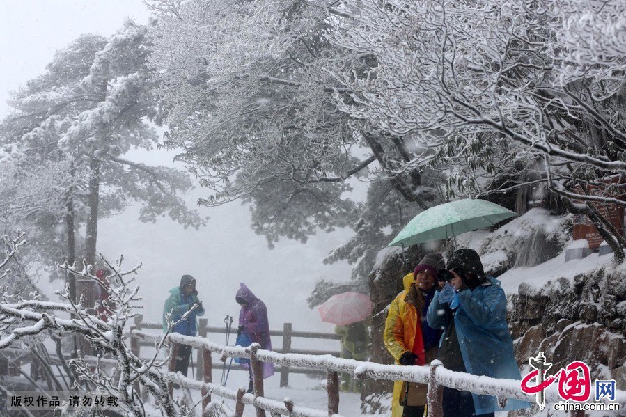 В достопримечательности Хуаншань выпал первый сильный снег 2015 года