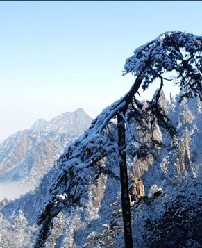В горах Хуаншань: облака и снег взамодополняют красоту друг друга