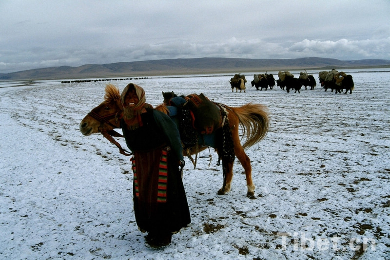 Прекрасные пейзажи Нгари Тибета