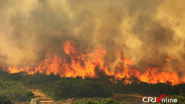 Близ южноафриканскогогорода Кейптауна вспыхнул лесной пожар, распространившись из-за сильного ветра на 3 тыс. гектаров.