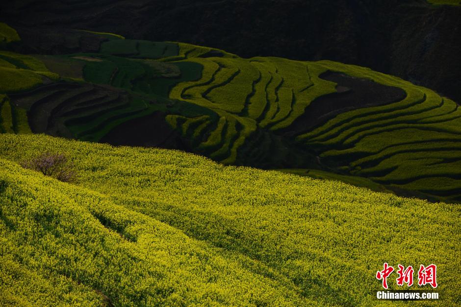 Красивые полевые пейзажи уезда Лопин провинции Юньнань