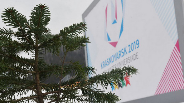 В Красноярске, который будет принимать Универсиаду-2019, высадили 5 пихт, привезенных из Сочи