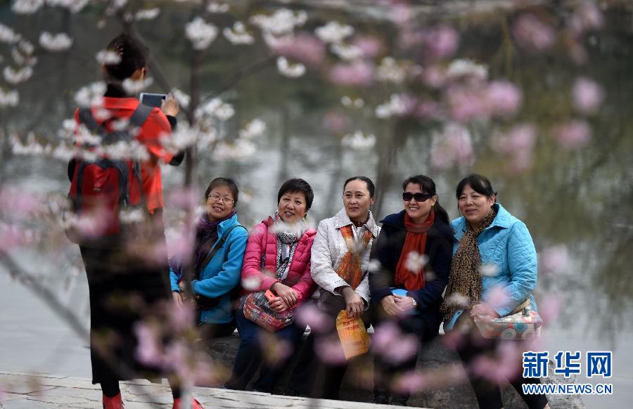 В Пекинском парке Юйюаньтань открылся 27-й фестиваль сакуры