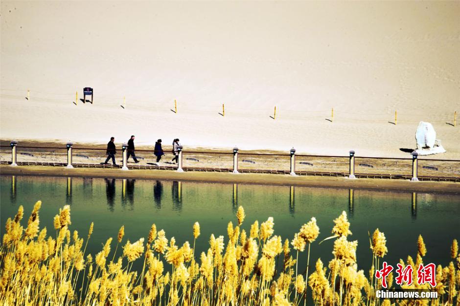 Весенние пейзажи у озера Юэяцюань (Дуньхуан)