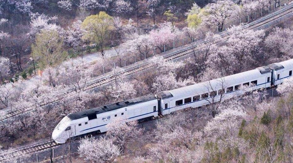 Поезд, проходящий на весну