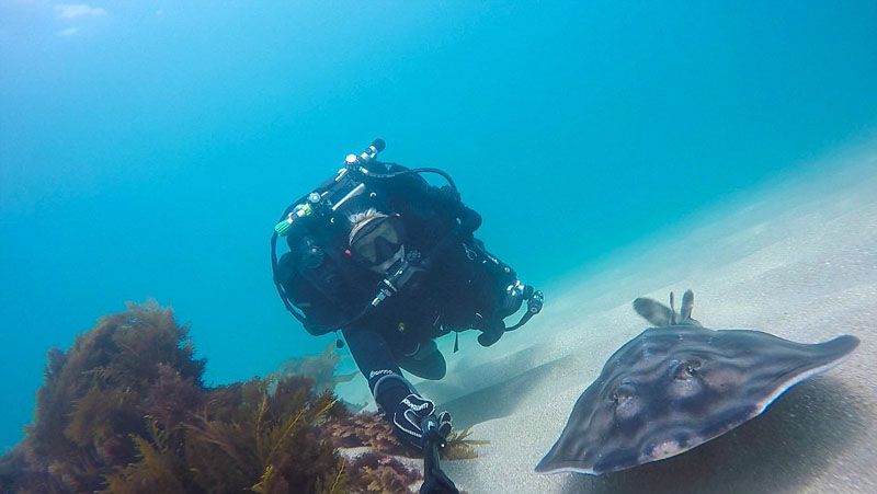 Селфи американских женщин-водолазов с морскими животными