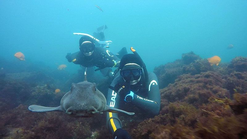 Селфи американских женщин-водолазов с морскими животными