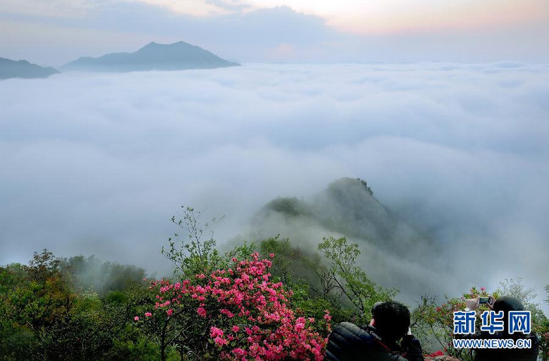 Прекрасные пейзажи на горе Уцзишань в провинции Анхой