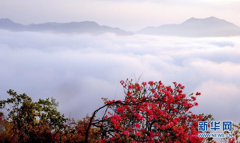 Прекрасные пейзажи на горе Уцзишань в провинции Аньхой