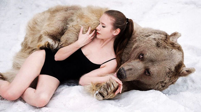 Блокбастеры «звезды-медведя» и сексуальной модели