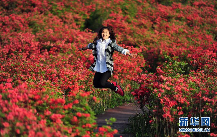 Красивый Китай: В городе Люян провинции Хунань расцветают дикие азалии