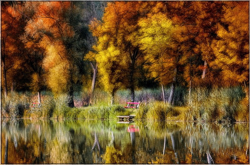 Красивое озеро в объективе фотографа Gabor Dvornik