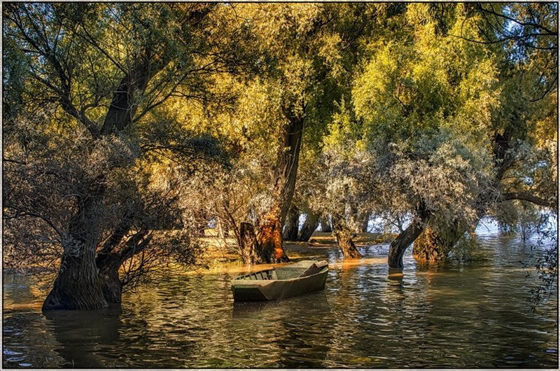 Красивое озеро в объективе фотографа Gabor Dvornik