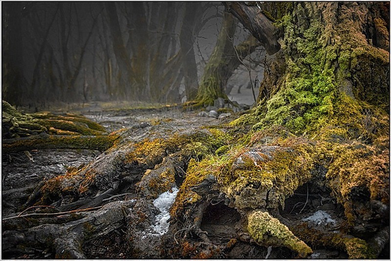 Красивое озеро в объективе фотографа Gabor Dvornik