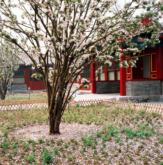 Красивая весна в Дворце князя Гуна (Гунванфу)