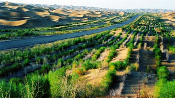 В 13-й пятилетке Китай будет бороться с опустыниванием земель на площади в 10 млн гектаров
