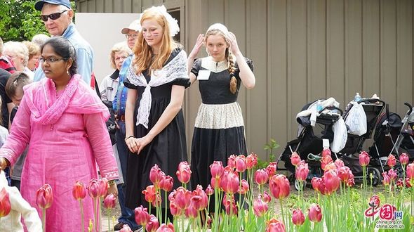 Пелла: 80-й фестиваль тюльпанов в городке с голландским колоритом 