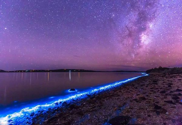 Планктон придает австралийской реке великолепное голубое свечение