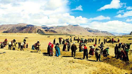 В Тибете за 6 лет добились заметных результатов в борьбе с опустыниванием