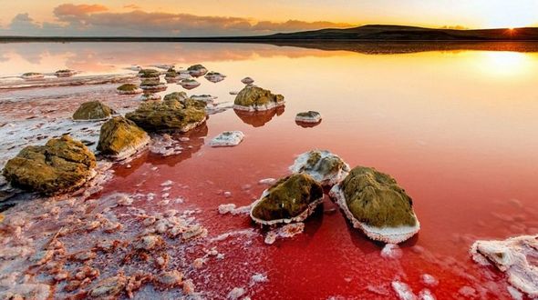 Фантастическое соленое розовое озеро в Крыму 