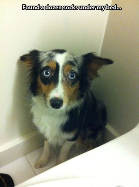 Извини, я виноват!