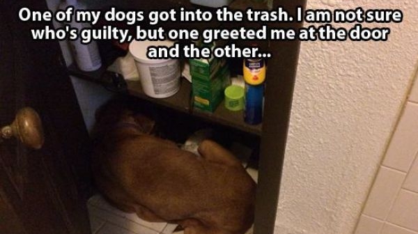 Извини, я виноват!