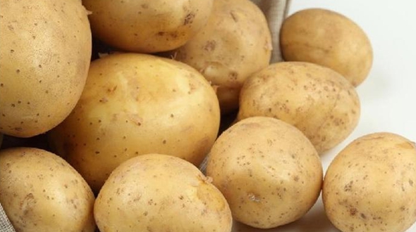 Провинция Хэйлунцзян оказывает финансовую поддержку местным предприятиям, занимающимся выращиванием и экспортом картофеля в Россию