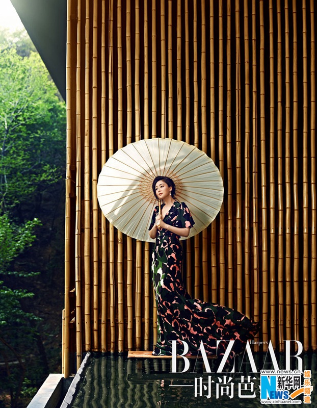 Супруги Чэнь Кайгэ и Чэнь Хун