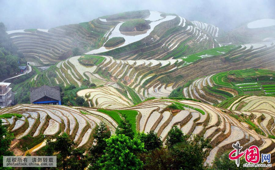 Живописные террасовые поля Лунцзи в Гуанси-Чжуанском автономном районе