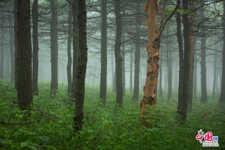Прекрасные июльские пейзажи в горах Улиншань