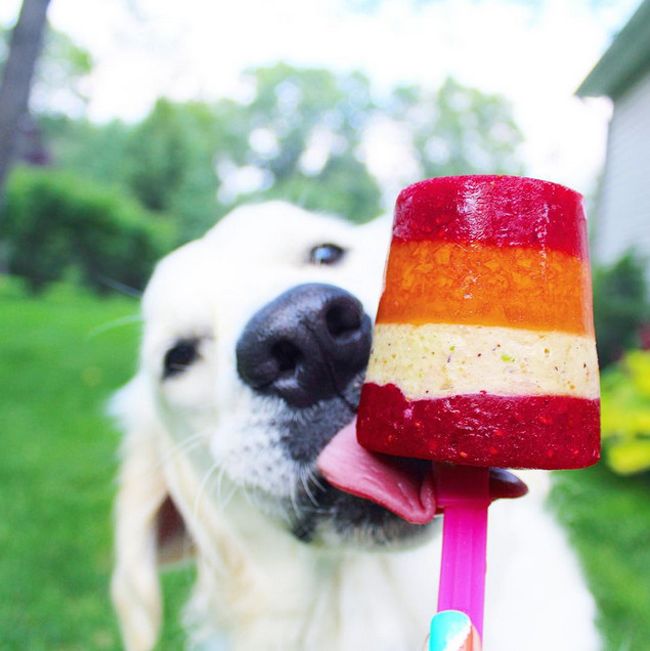 Вот эти милые животные!