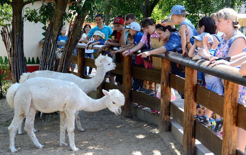 Двенадцатый день рождения первого частного зоопарка в России 'Лимпопо'