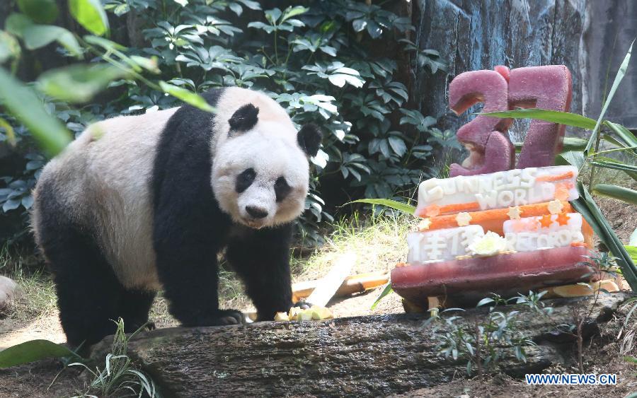 28 июля панде Цзя-Цзя из Океанографического парка Гонконга исполнилось 37 лет.