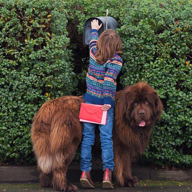 Интересные фото в Instagram: очаровательный ребенок с двумя собаками в объективе мамы