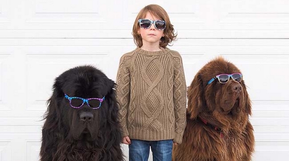 Интересные фото в Instagram: очаровательный ребенок с двумя собаками в объективе мамы