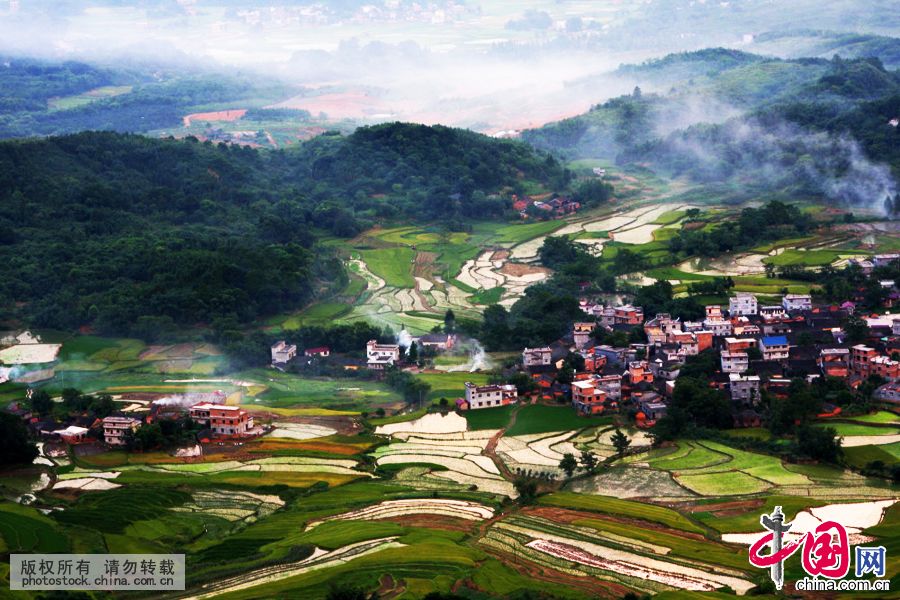 Живописное рисовое поле в уезде Цюаньчжоу Гуанси-Чжуанского автономного района