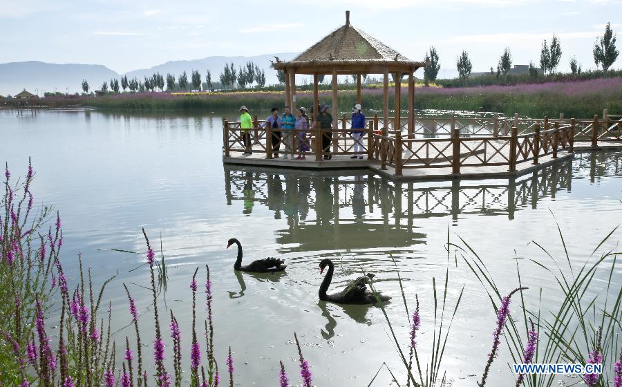 Государственные водно-болотные угодия в городе Чжанъе в провинции Ганьсу