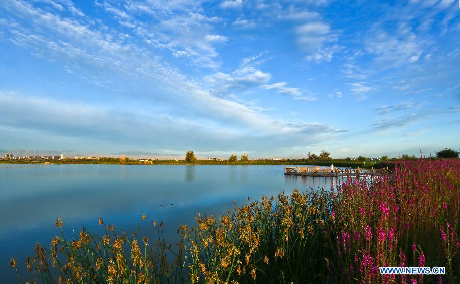 Государственные водно-болотные угодия в городе Чжанъе в провинции Ганьсу