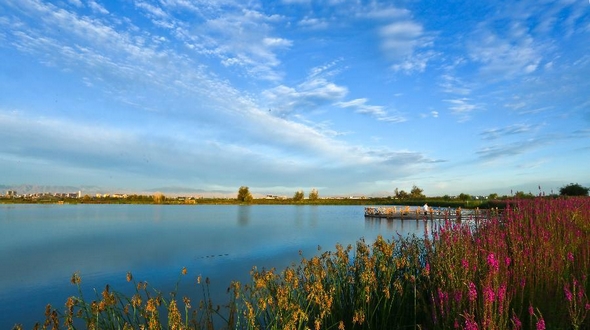 Государственные водно-болотные угодия в городе Чжанъе в провинции Ганьсу