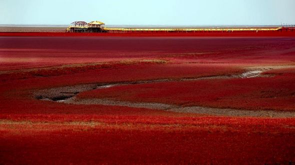 Удивидельная красота Красного пляжа