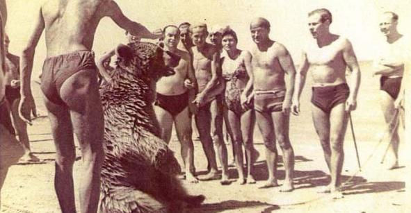 Войтек – единственный медведь, участвовавший во Второй мировой войне