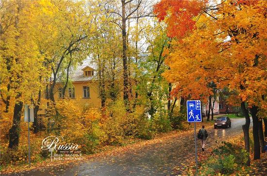 Осенние пейзажи российского поселка Сергеевка