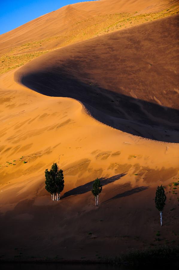 Великолепная пустыня Бадын-Джаран