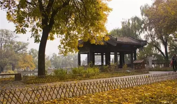 Завораживающие осенние пейзажи Китая