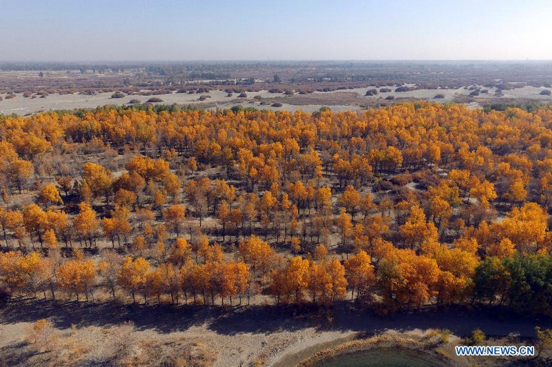 Красивый осенний пейзаж пустыни в провинции Цзилинь