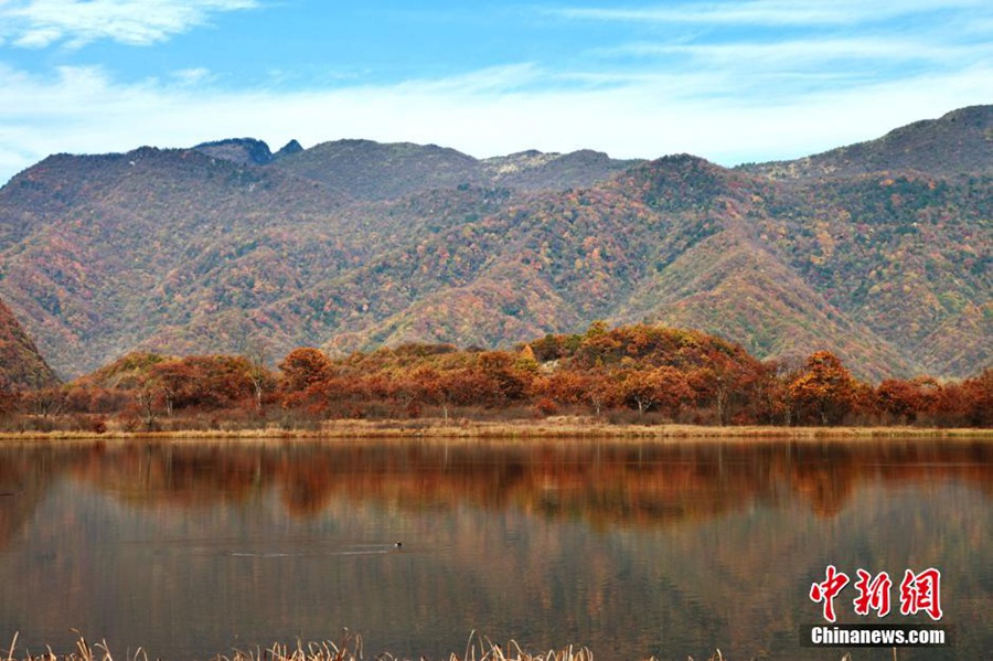 Осенние пейзажи государственного парка водно-болотистых угодий Дацзюху в лесном районе Шэньнунцзя, пров. Хубэй