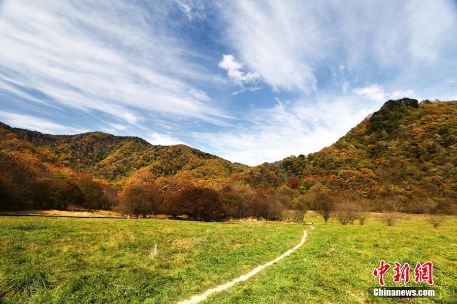 Осенние пейзажи государственного парка водно-болотистых угодий Дацзюху в лесном районе Шэньнунцзя, пров. Хубэй 