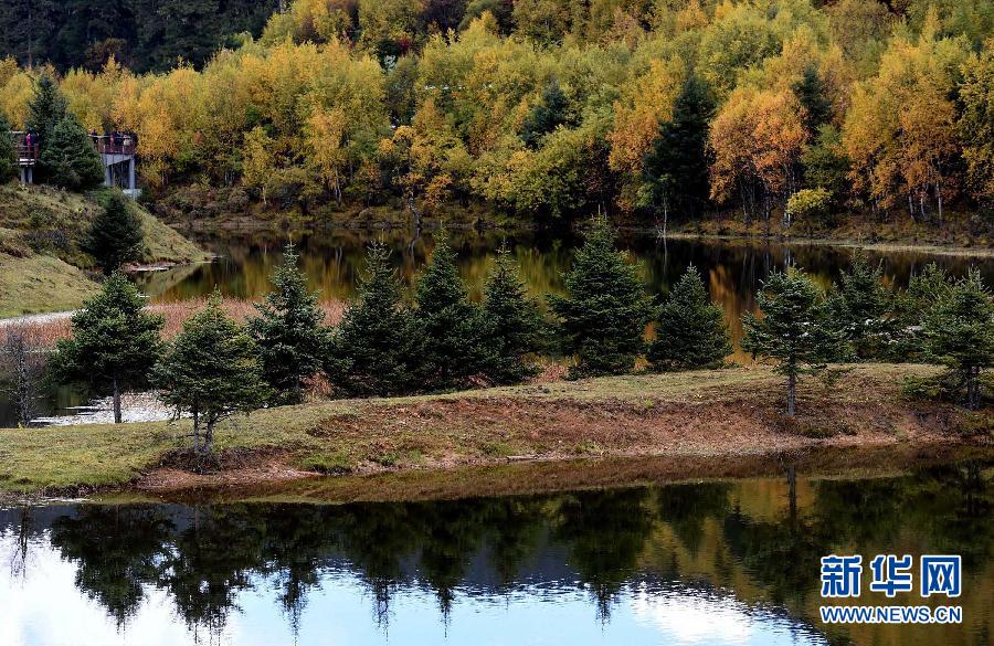 Красивые осенние пейзажи уезда Шангрила