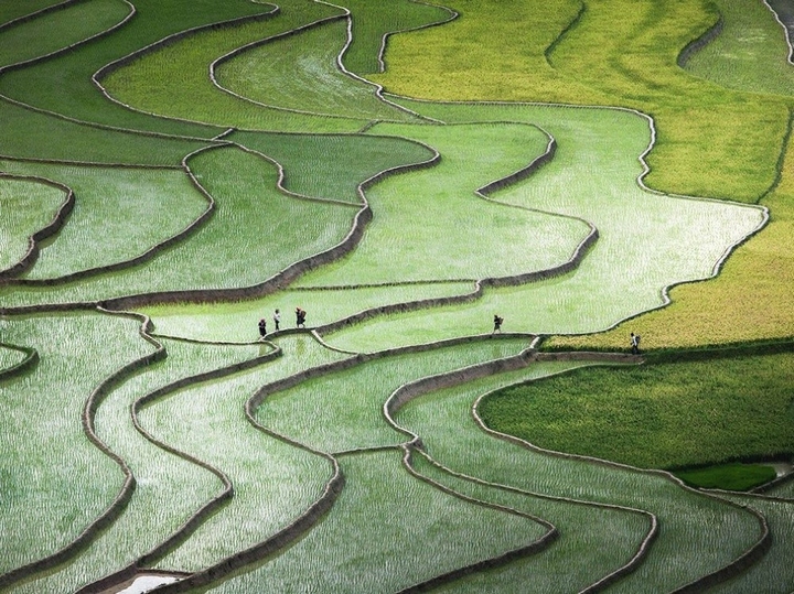 Топ 20 фотографий журнала National Geographic за октябрь по версии портала Bigpicture