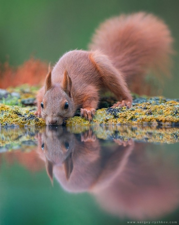 Топ 20 фотографий журнала National Geographic за октябрь по версии портала Bigpicture